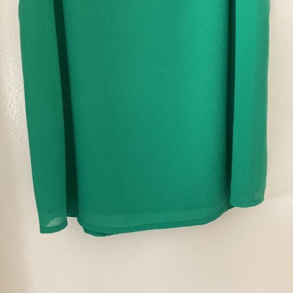 Naked Zebra Brand Green Spaghetti Adjustable Strap with Detailed Backing Size S - Picture 3 of 8